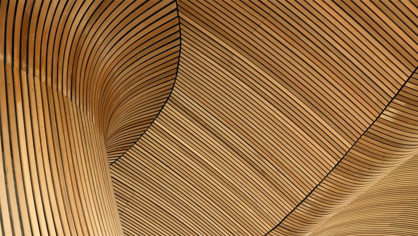 Y Senedd