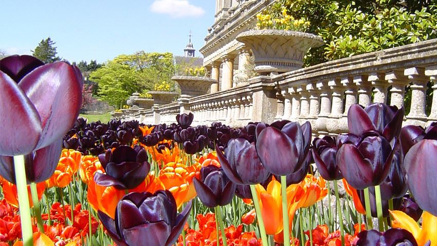 Dyffryn Gardens