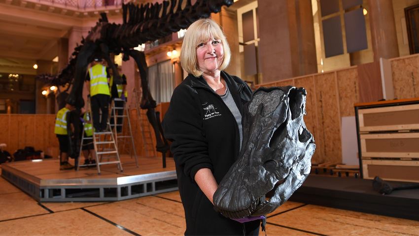 Dippy Taking Shape